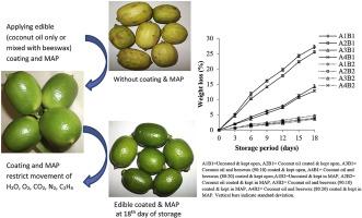 Extending freshness Practical storage strategies temperature humidity containers and ethylene control